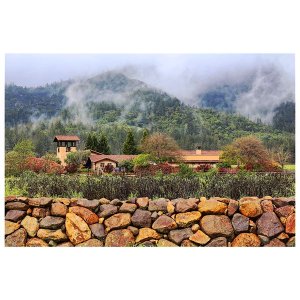 st francis of assisi tw mar 116