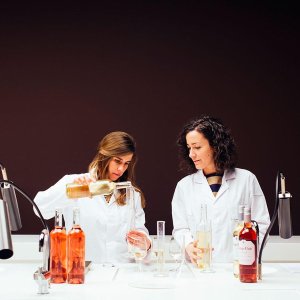 campo women tasters tw apr 16