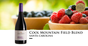 san car fruit tw 4516