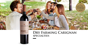 santa carolina tw 1516