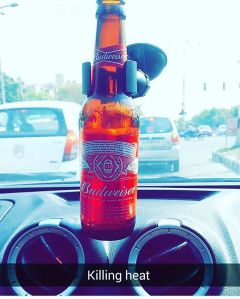 13259548_1737643023176689_1517938301_n