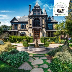 beringer vineyards tw 28616