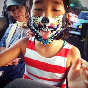 14659233_178622032594286_6668650357331066880_n