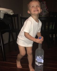 15625511_310207329373856_7722893424944218112_n