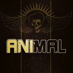 animal66gt's profile picture