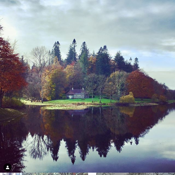 Screenshot_2020-04-23 #thisiscavan hashtag on Instagram • Photos and Videos