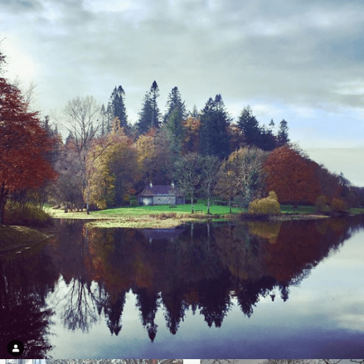 Screenshot_2020-04-23 #thisiscavan hashtag on Instagram • Photos and Videos